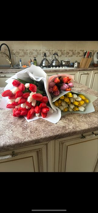 Тюльпаны шымкент штука по 500 тг