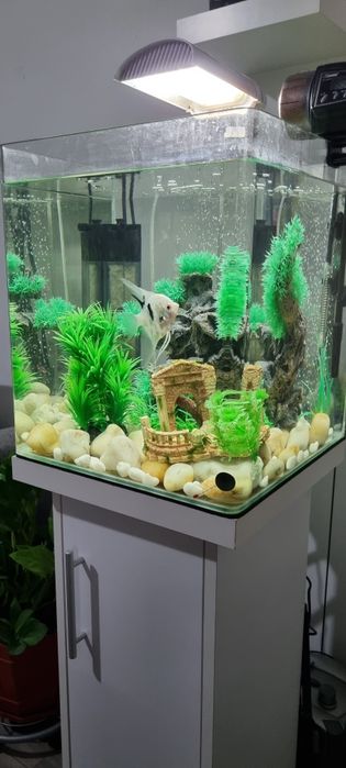Acvariu nano cub