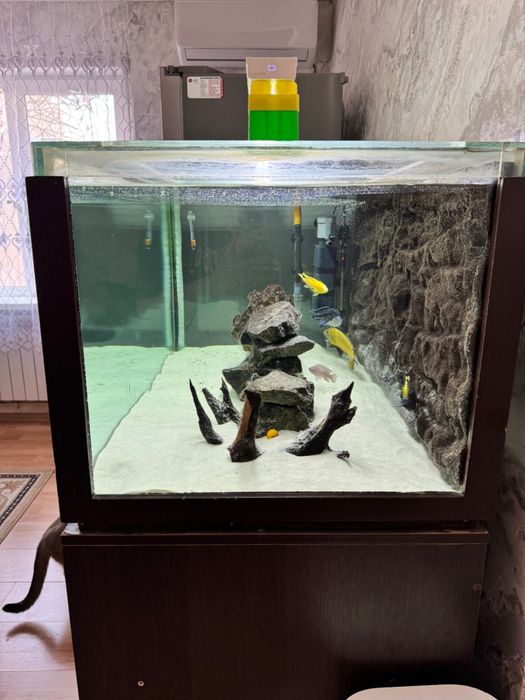 Продам аквариум