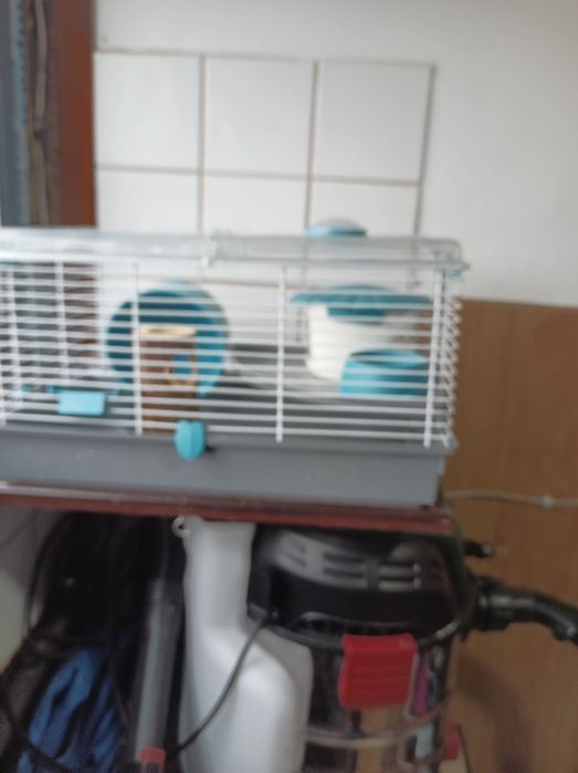 Vând cușcă hamster