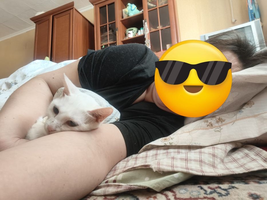 Отдам в добрые руки