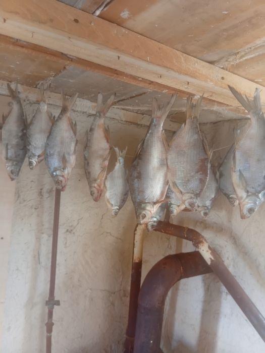 Продам вяленую рыбу