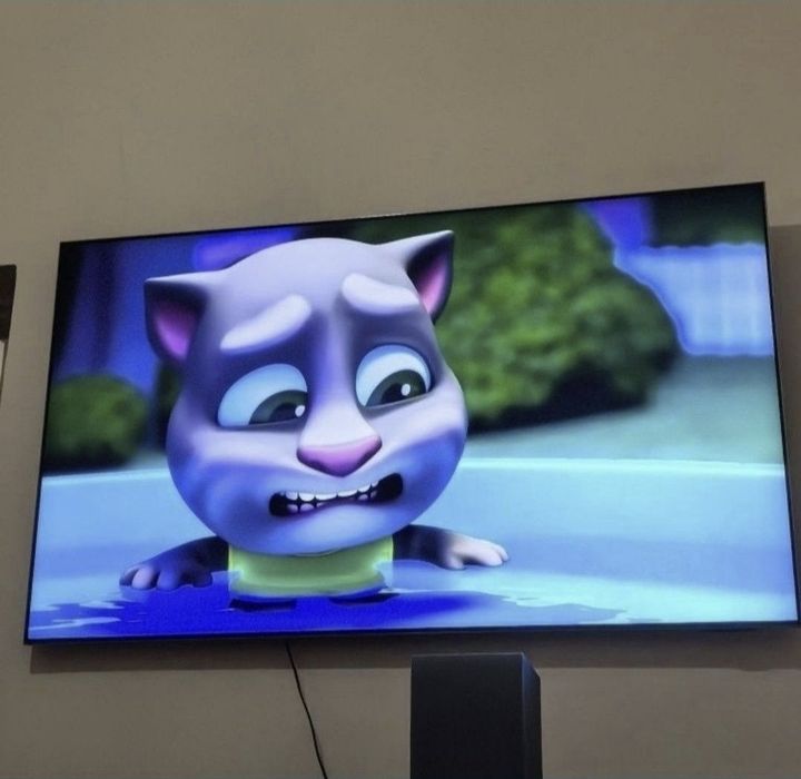 Samsung QLED Smart Tv 170См