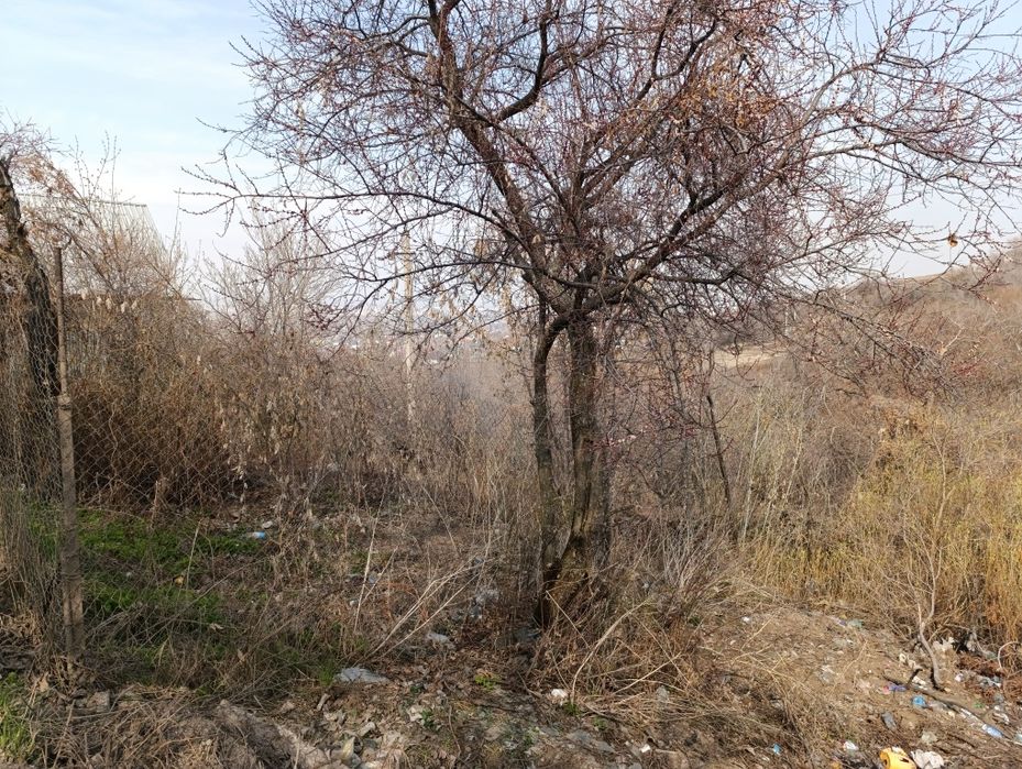 Участок в Тастыбұлақ!!