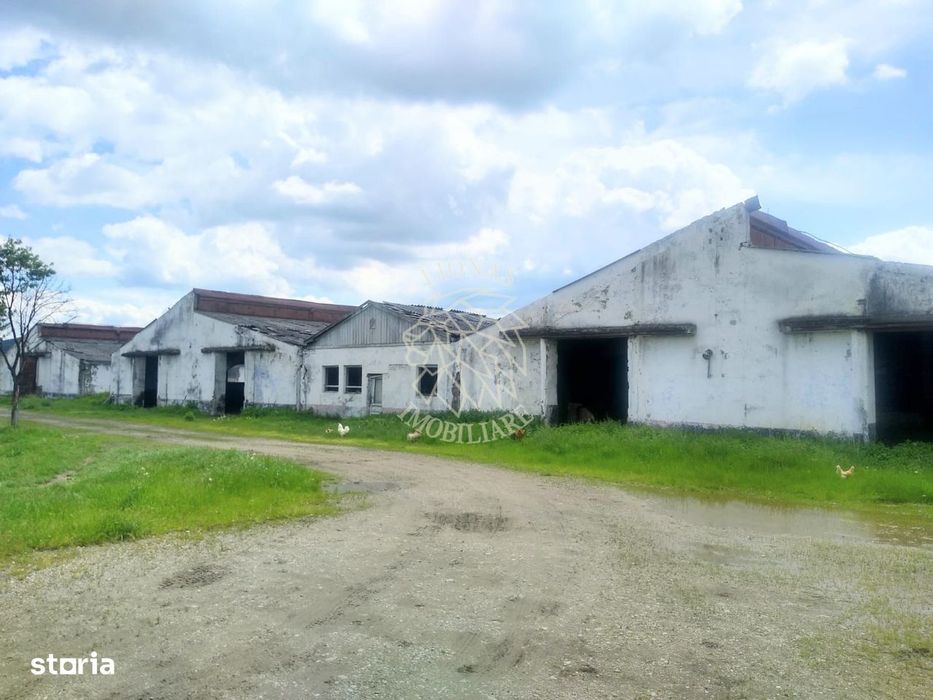 HALE 6500 mp- Oportunitate Fond Europene- 500 ari si lac- Sieu Odorhei