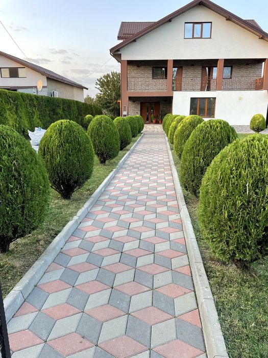 Amenajari gradini si Montaj Pavele , Proiecte Peisagistica