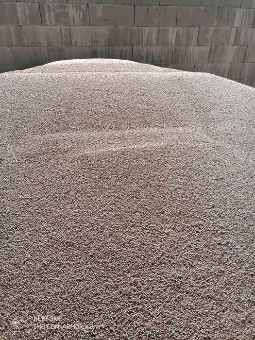 Vând grâu triticale  și ovăz recolta 2026