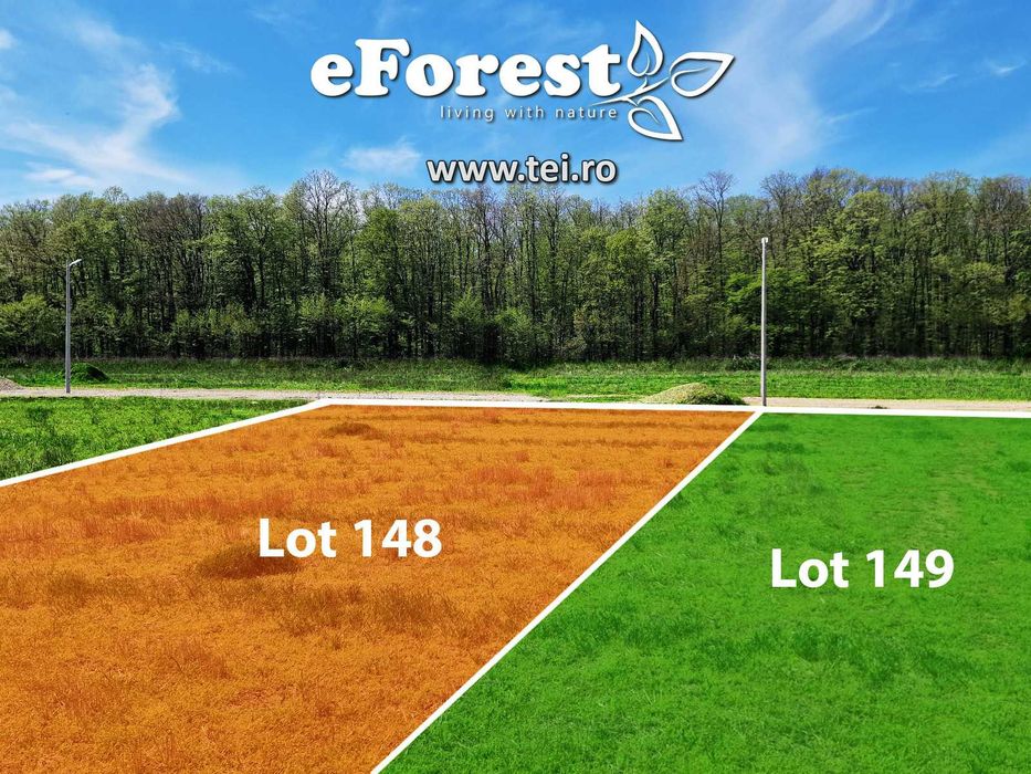 Loturi de casă 720 - 900 mp, langă Pădure în eForest, acces asfaltat