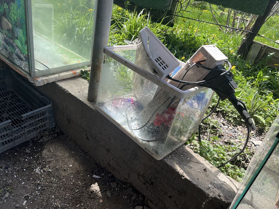 Аквариумы в отличном состоянии