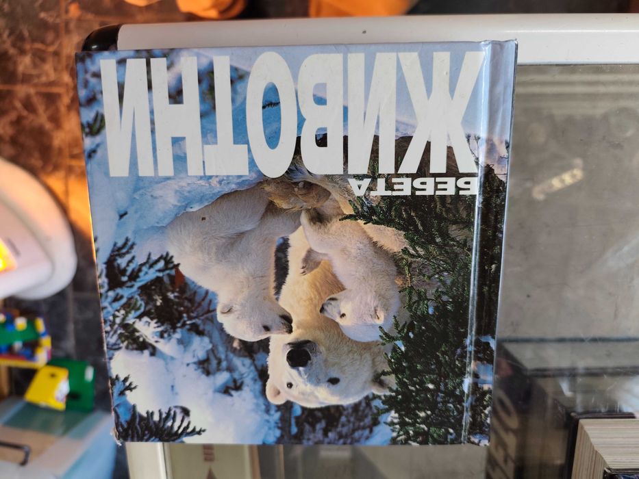 Книга фотоалбум бебета животни