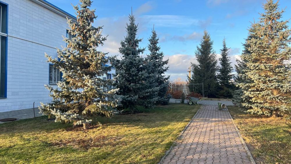 Коттедж посуточно