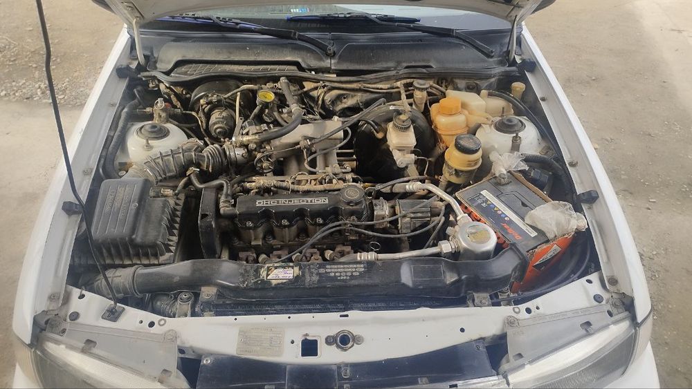 Nexia 1 luks kanditsaner