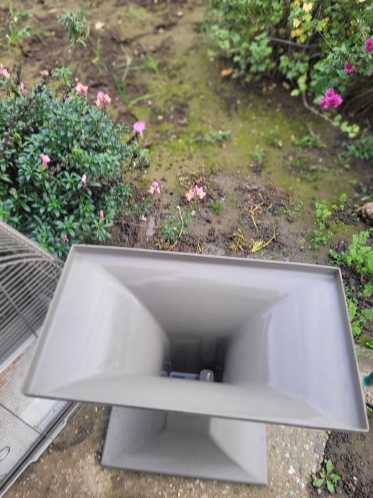 Colivie papagal imensa