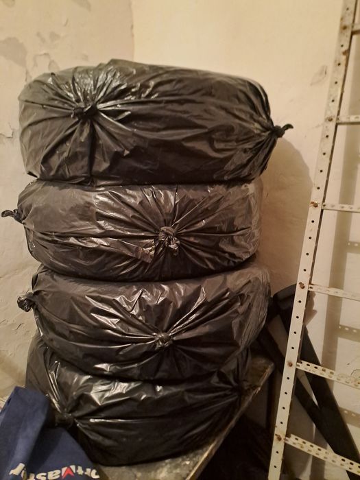 Продам шины с шипами от Palisade