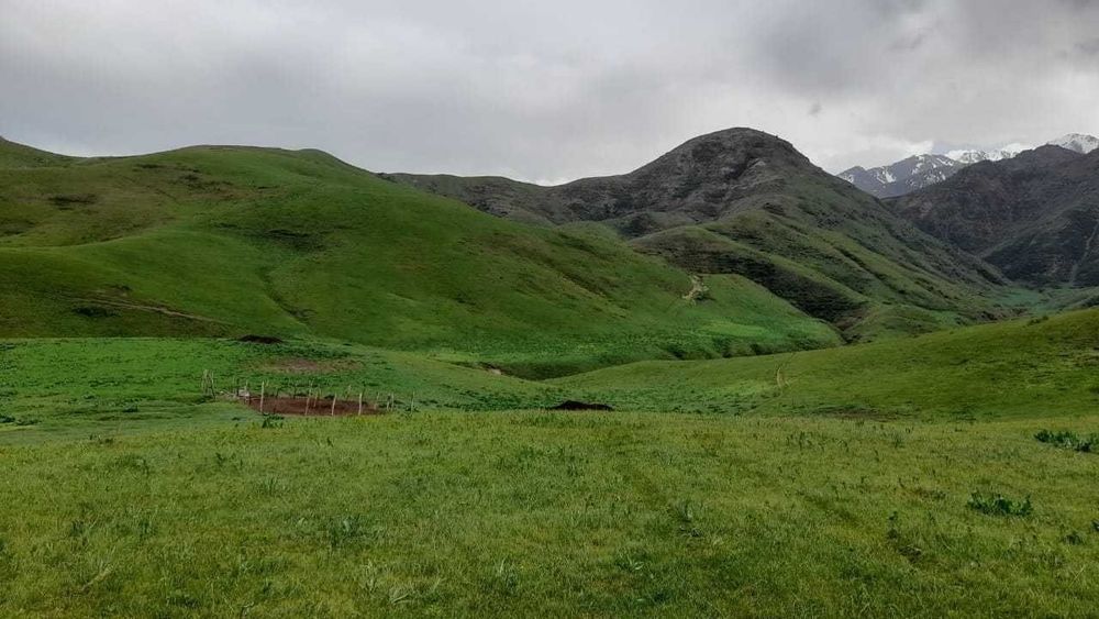 Срочно продается фазенда