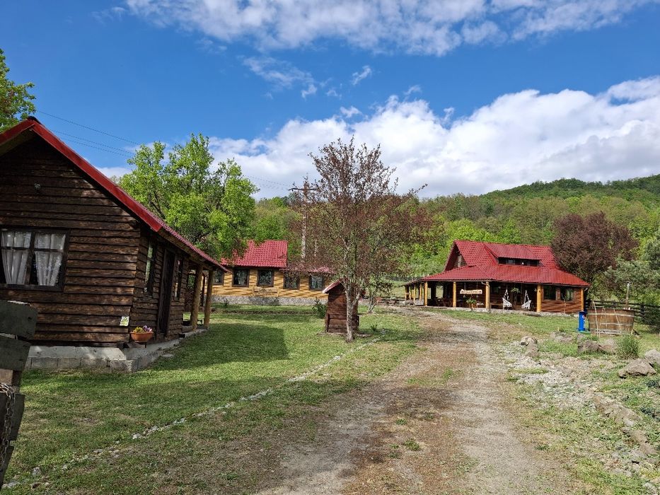 Cabane de închiriat