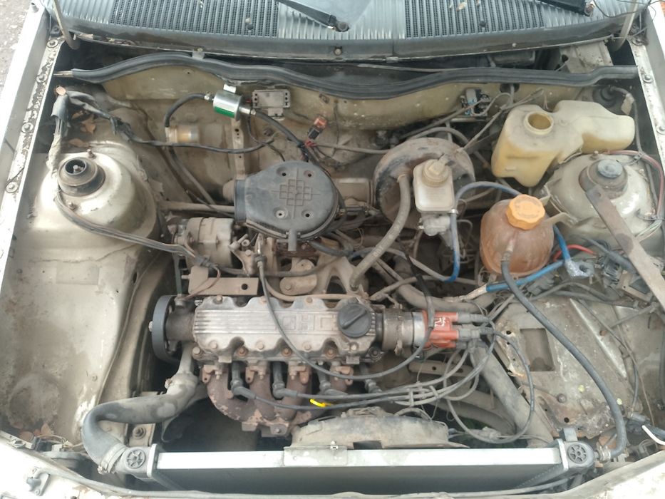 Обмен кой ешкы малга