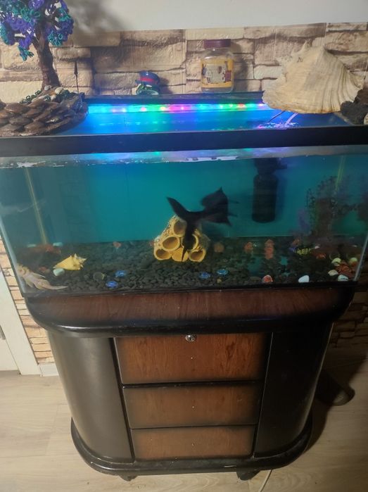 Аквариум 150 литров вместе с рыбками.