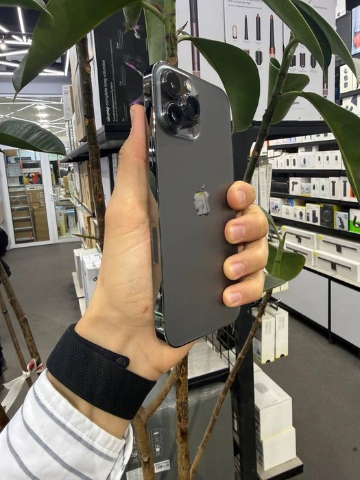 IPhone 13 Pro Max / 256 Gb