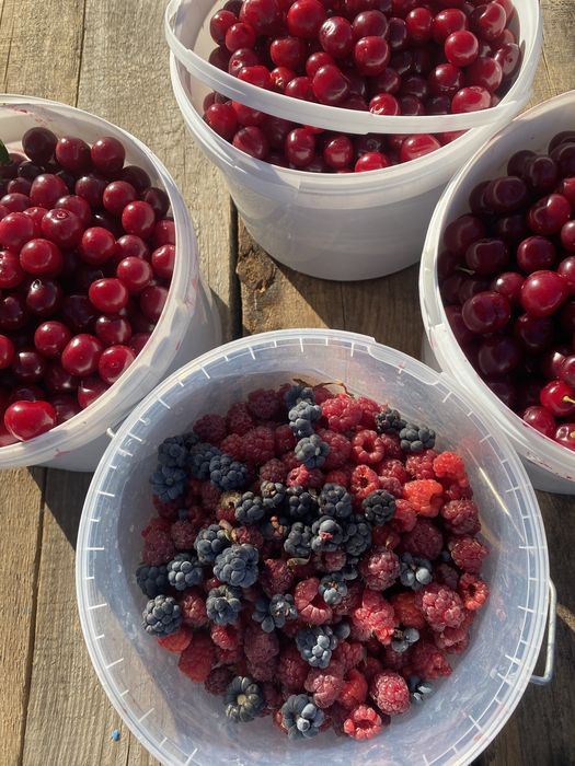 Срочно продам дачу на центральном улице