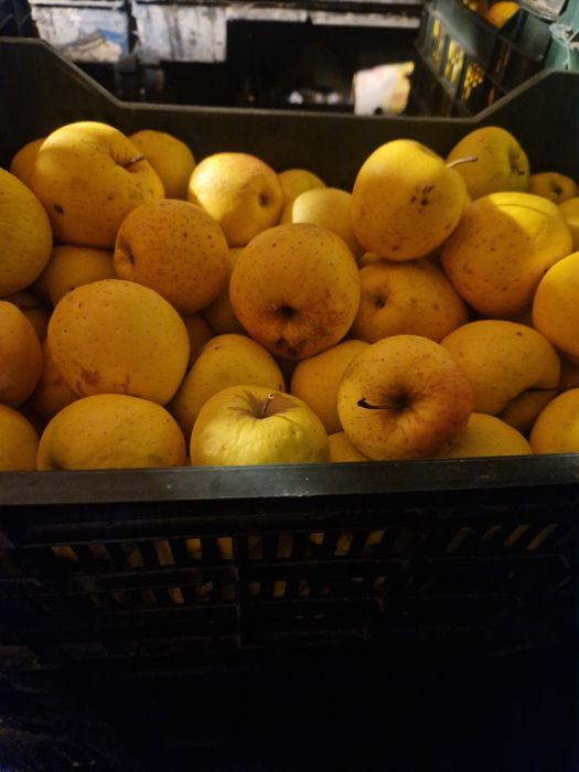 Vand  mere, Golden,  Florina,  Idared, Generos