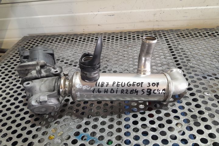 RACITOR GAZE CU EGR 9646782280 9649358780 21597518-1 9646782280 96493