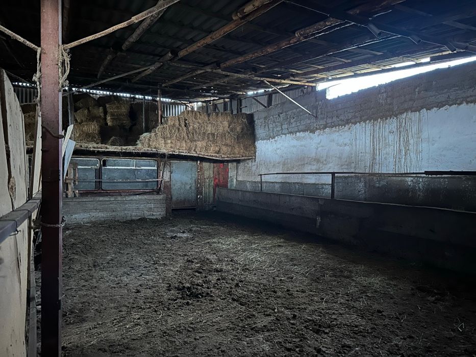 Жедел түрде қора сатылады!