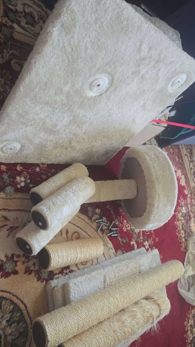 Vand accesorii pisicuta, patutul/lesa pot fi folosite pt catel