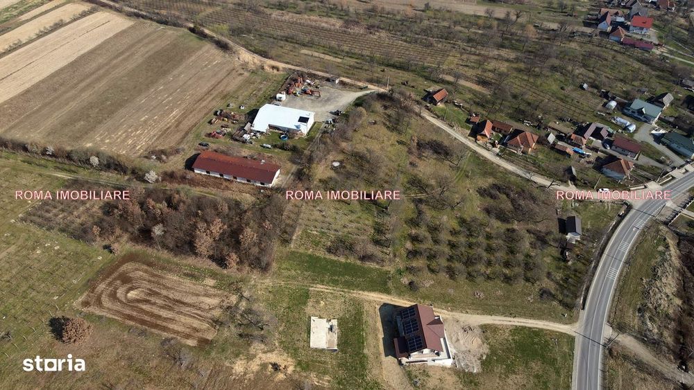 Teren intravilan Berchez 3700 mp+ 2950 mp Utilități 700€/ar NEGOCIABIL