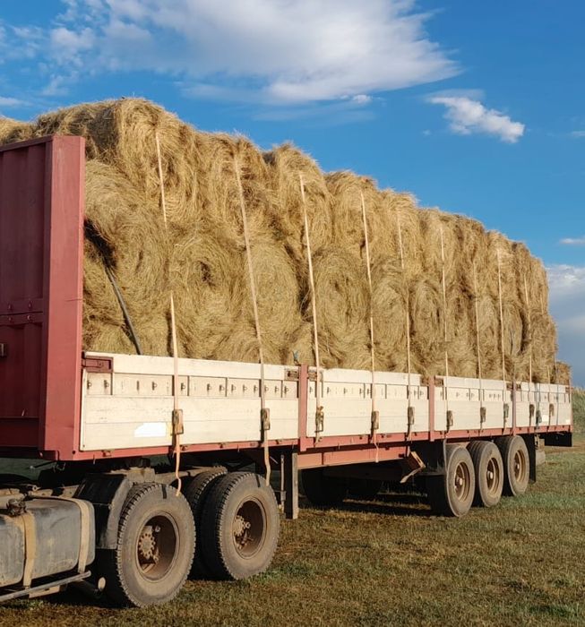 Шөп! Рулон, тюк разнотравье