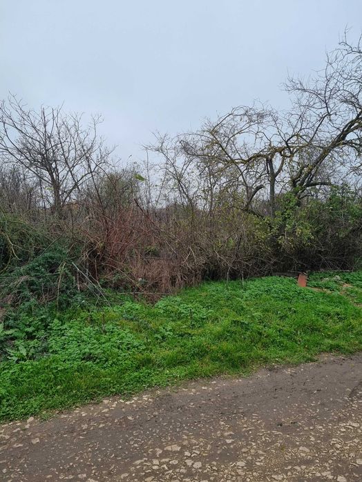 Продава се Парцел в Балчик - 1800 кв.м за 10 €/кв.м - Снимка #4