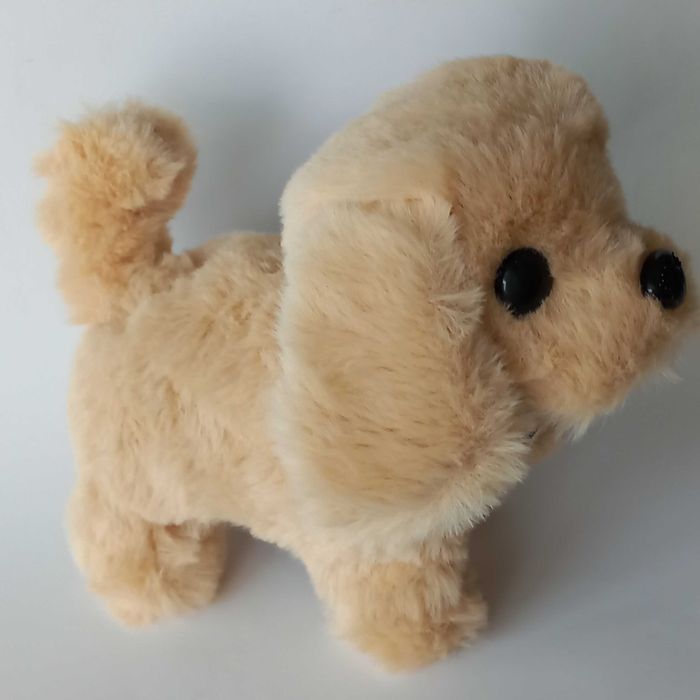 Играчка подскачащо пиле механична