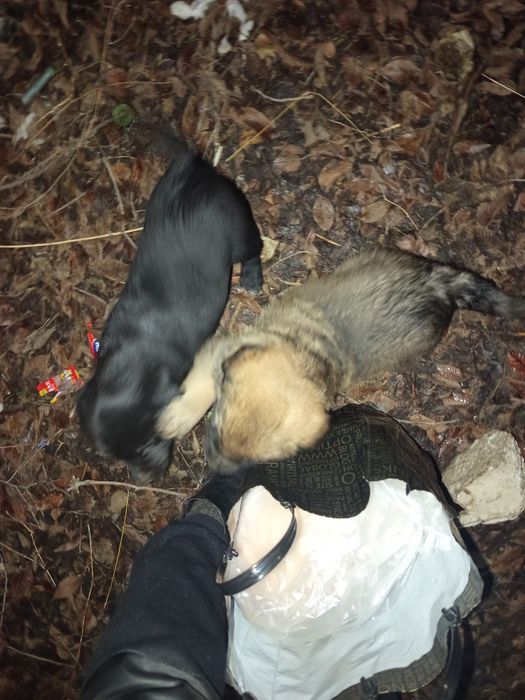 Даром мальчик 5мес