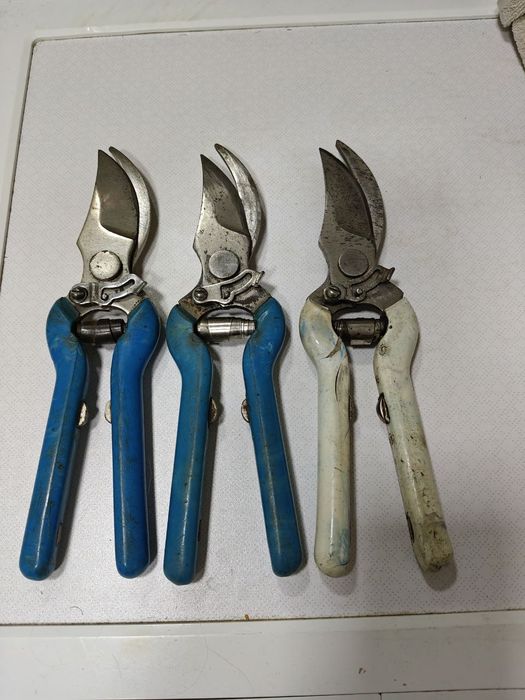 Советские секаторы