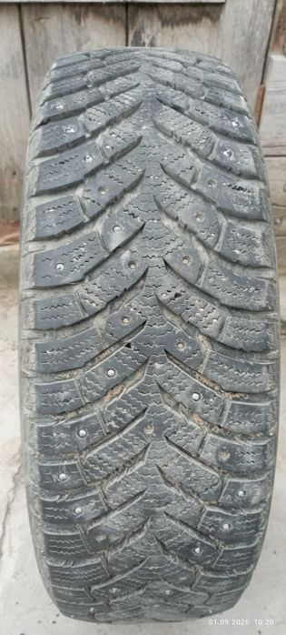 Продам резину TOYO