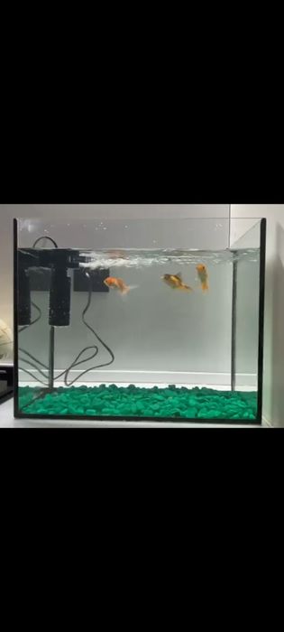 Аквариум сатылады