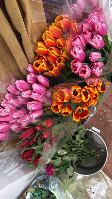 Продам свежие тюльпаны