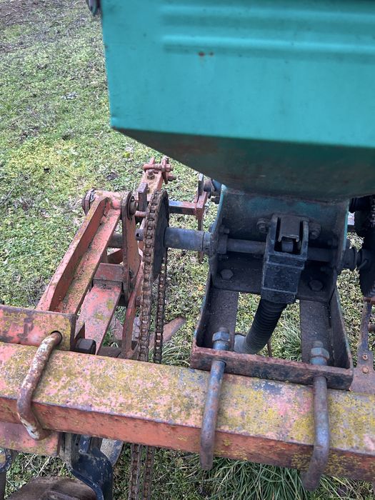 Prasitoare de Piatra Neamt