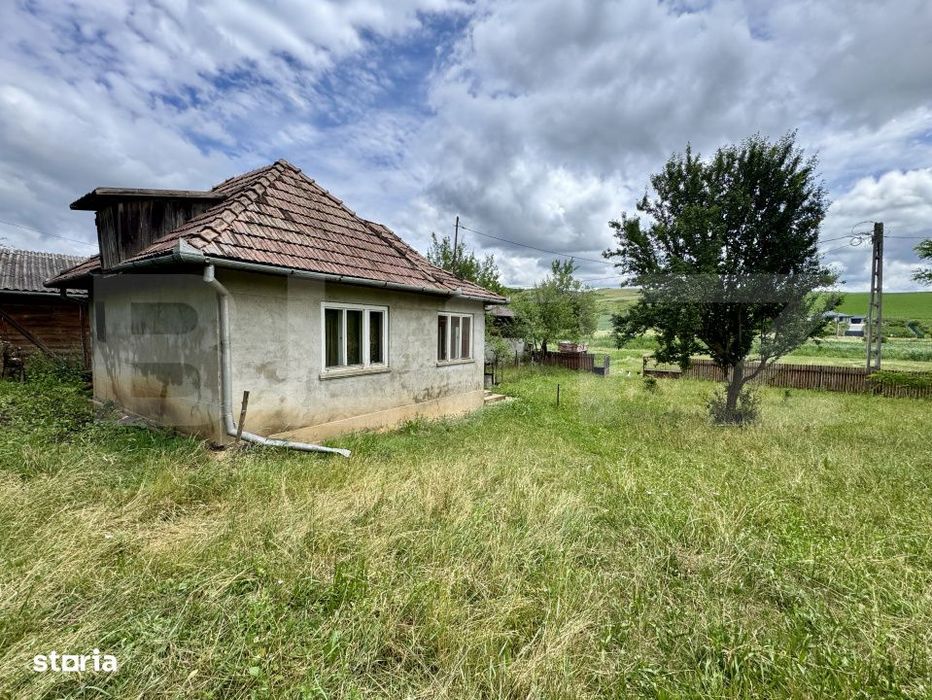 Casa 50 mp utili, 5000 mp teren, sat Draculea Bandului