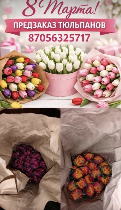 Город Павлодар . Тюльпаны