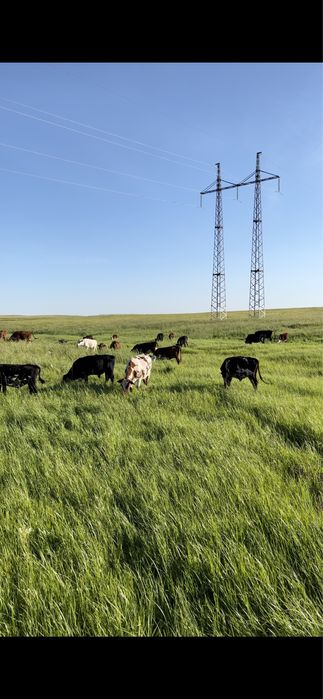 Крестьянское хозяйство