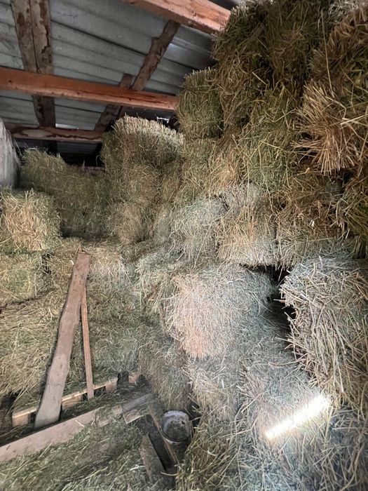 Беда прес сотилади beda pres sotiladi