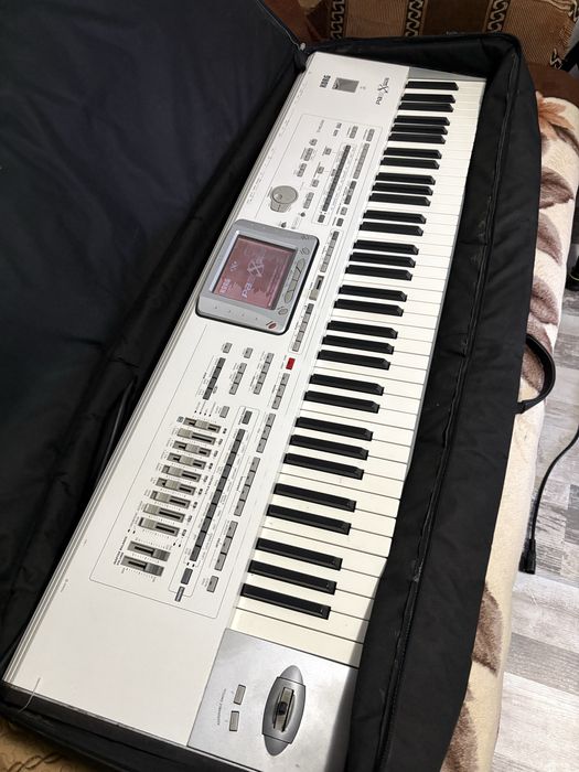 Vand korg pa2x pro 256mb ram+husa