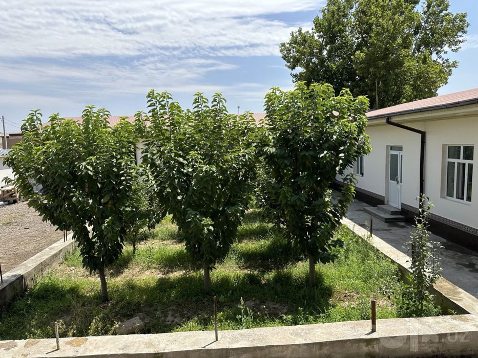Hovli uy sotiladi, Yangihayot tumani, Toshkent shahar, 6 sotix