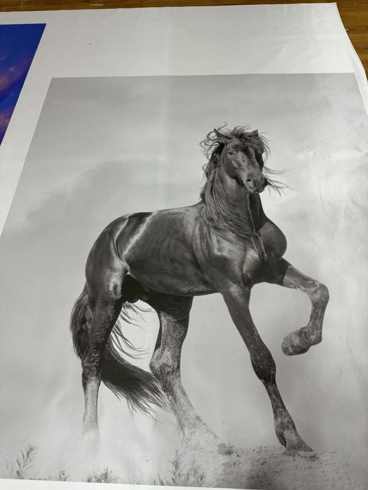 Фотообои 3д fotooboi