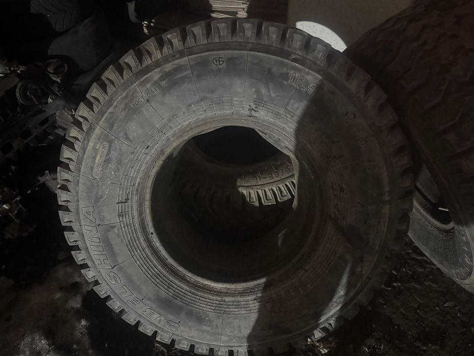 Птс-12 шины продам