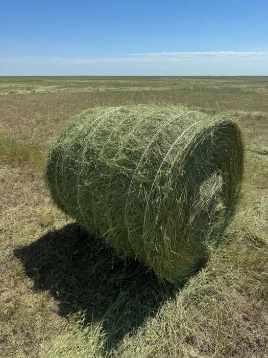 Рулон сено Астана