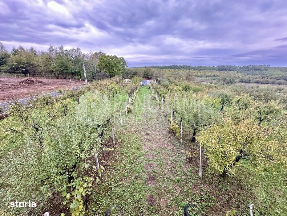 Cabana De Vanzare, Ardud-Vii