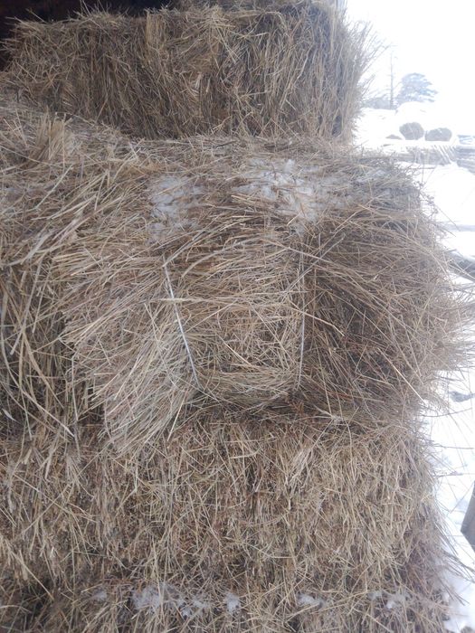 Сено тюковое разнотравье