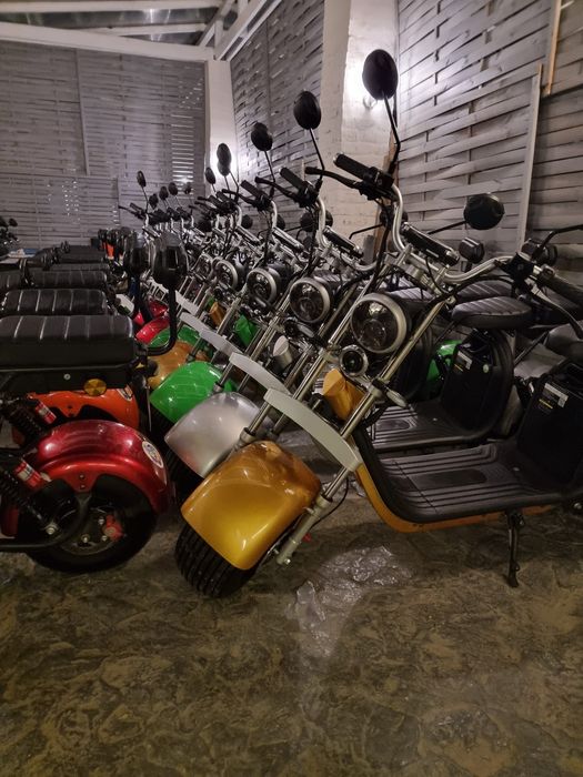 Scuter electric nou Baterie REAL 20Ah